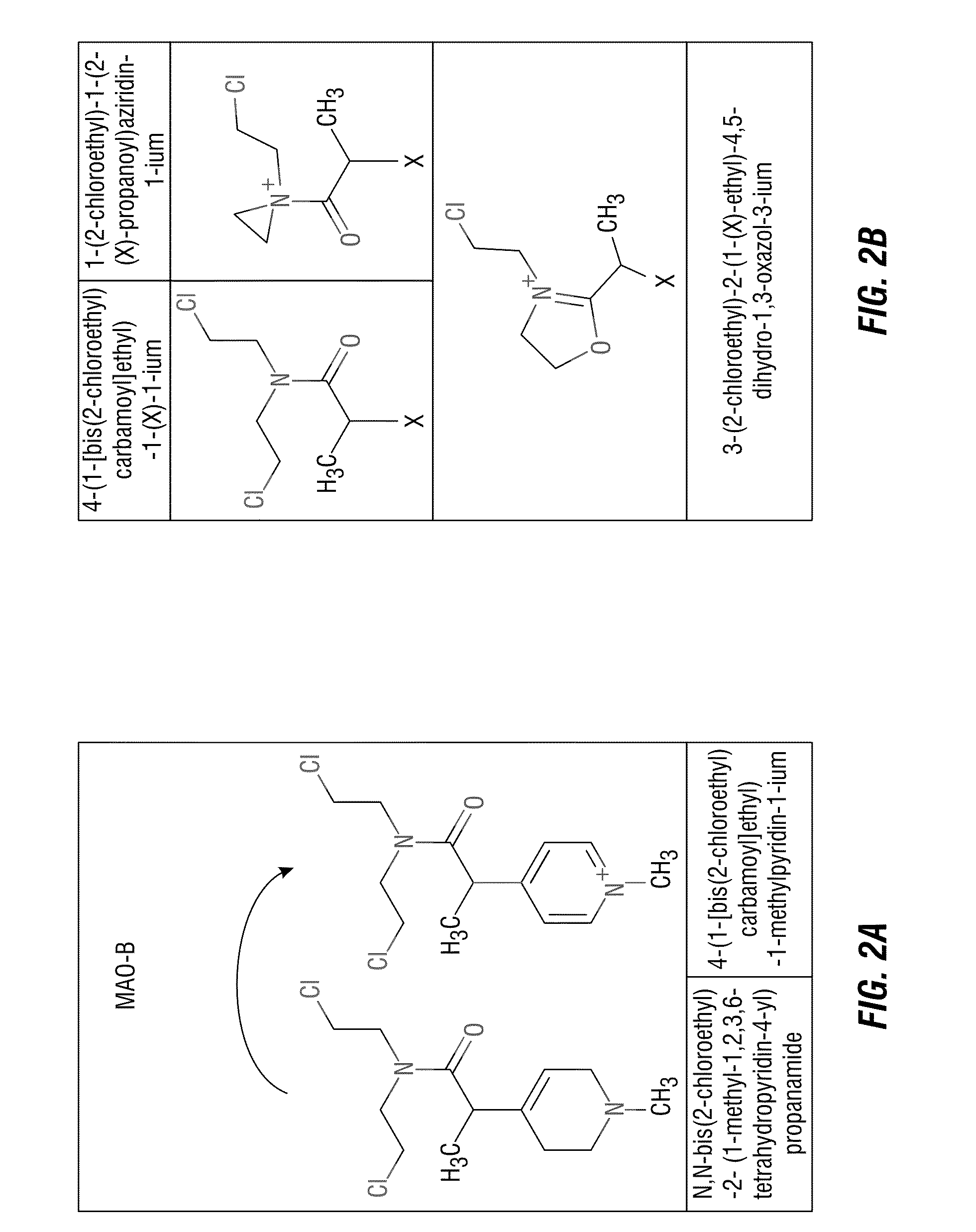 Chemotherapeutic Compositions and Methods for Treating Human Gliomas