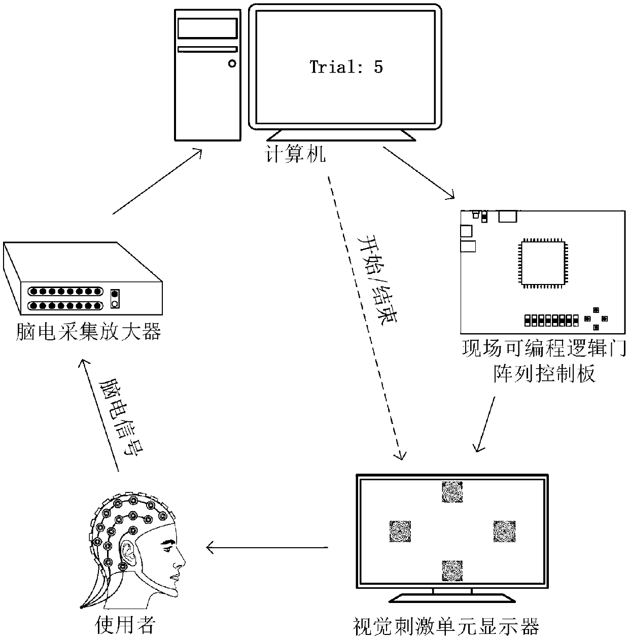 Visual brain-computer interface method based on field-programmable gate array local noise optimization