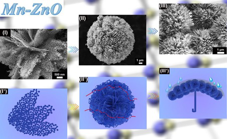 Dilute magnetic solid solution type metal anti-corrosion pigment