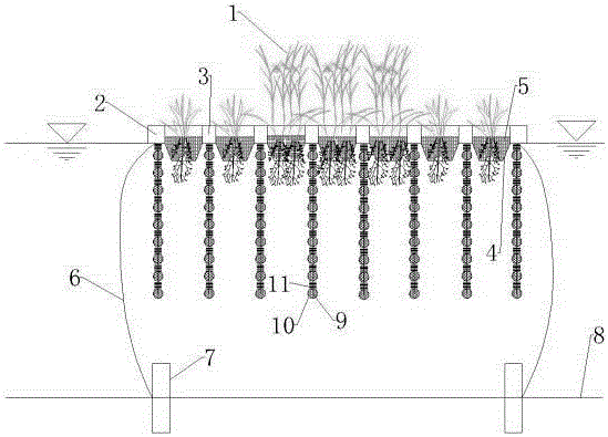 Ecological floating bed device for in-situ enhanced denitrification of micro-polluted river