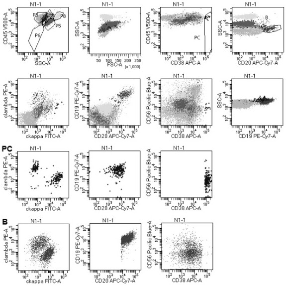 Antibody composition and its application in screening lymphoproliferative diseases after transplantation