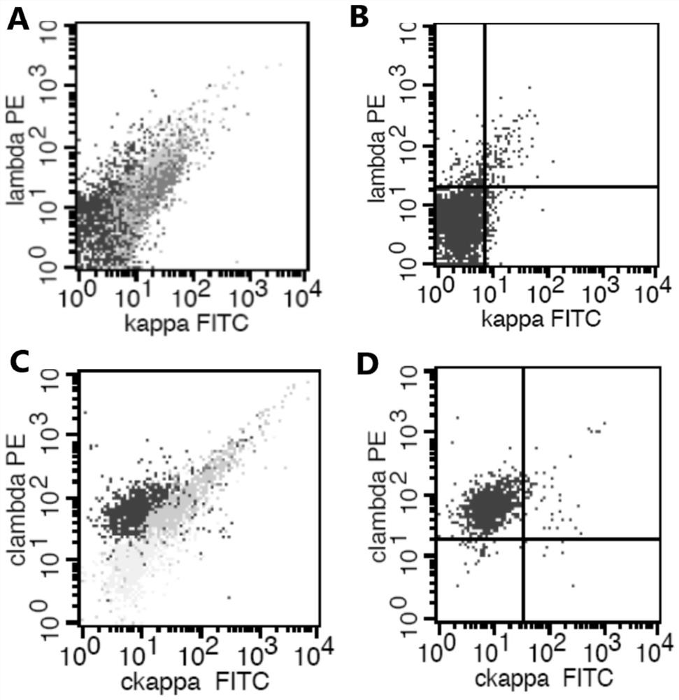 Antibody composition and its application in screening lymphoproliferative diseases after transplantation