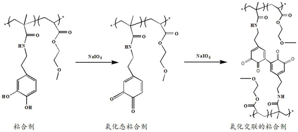 Mussel bionic adhesive-calcium phosphate high-strength bone repair material, high-strength composite cap scaffold and preparation method thereof