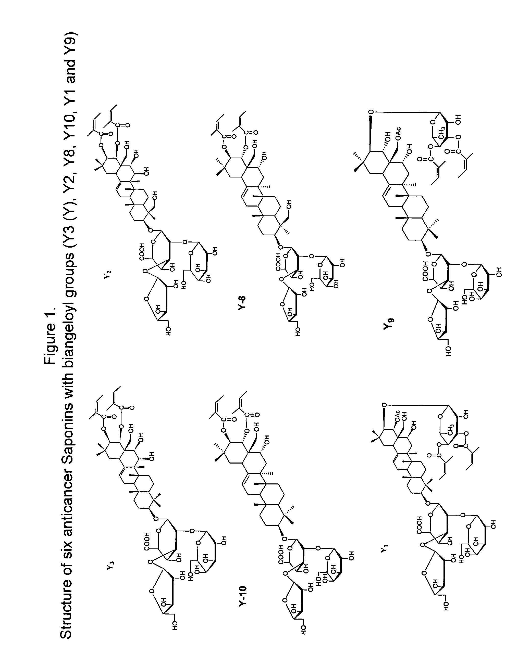 Anticancer biangeloyl saponins