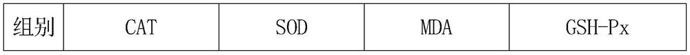 Liver-nourishing eyesight-improving health-preserving tea and preparation method thereof