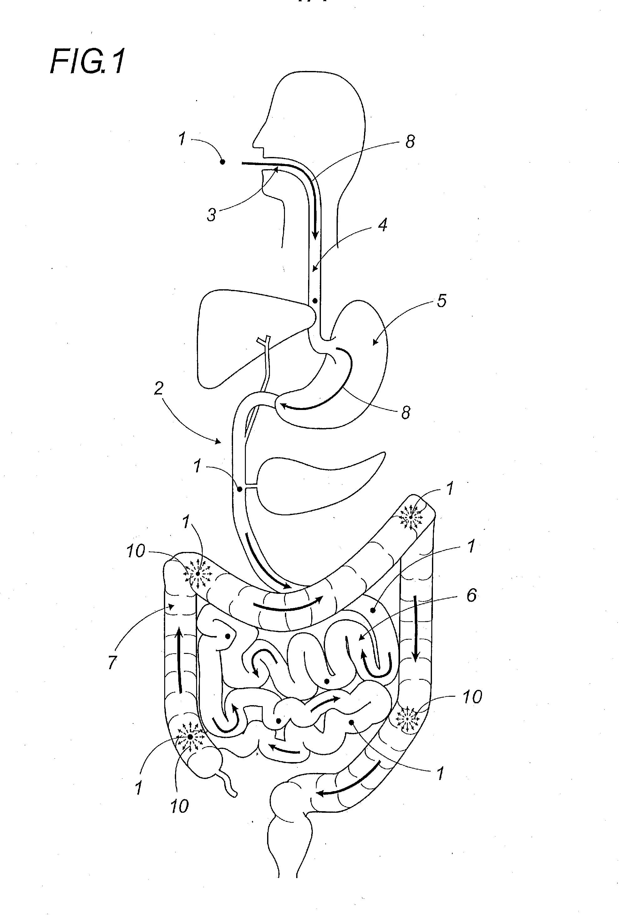 Oral galenic form, polymer production method and use of same