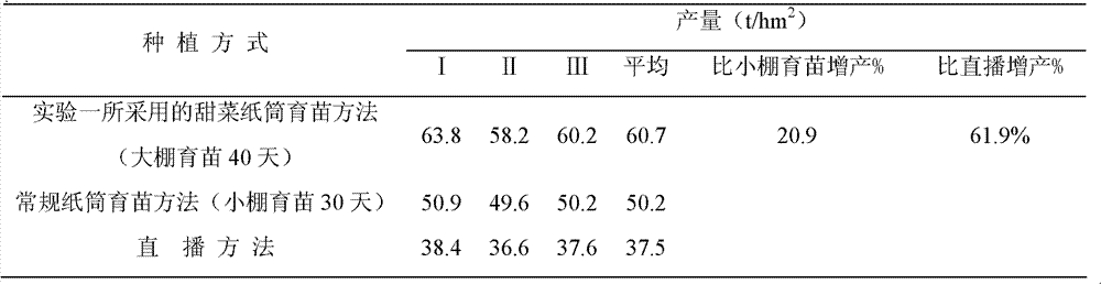 Method for raising sugar beet seedlings in paper pots