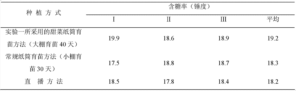 Method for raising sugar beet seedlings in paper pots