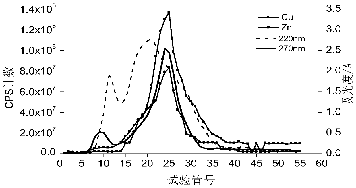 Method for extracting high-purity metallothionein (MT) from oratosquilla oratoria