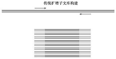 Plasma free DNA lung cancer gene combined detection kit