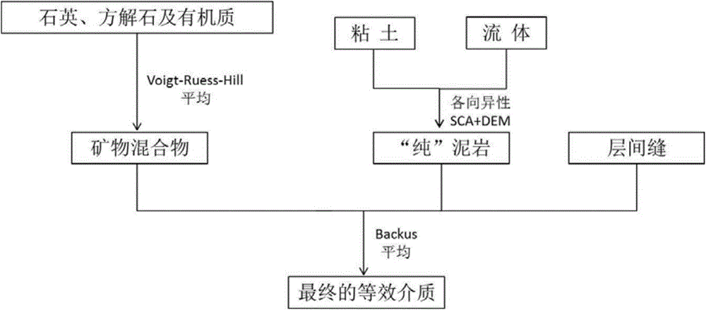 Shale anisotropic rock physical modeling method