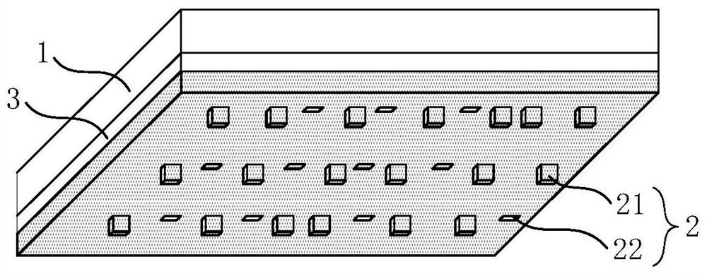 A microchip transfer device and a microchip transfer system