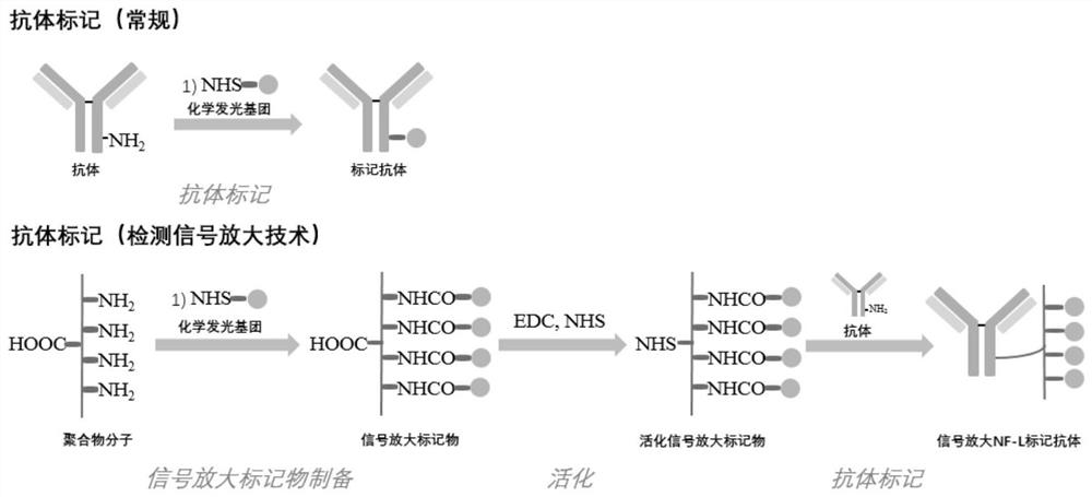 Kit for detecting neurofilament light chain and method and application thereof