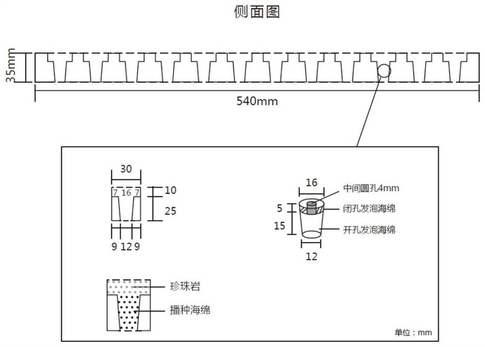 Transplanting-free floating plate and application of transplanting-free floating plate in leek floating cultivation