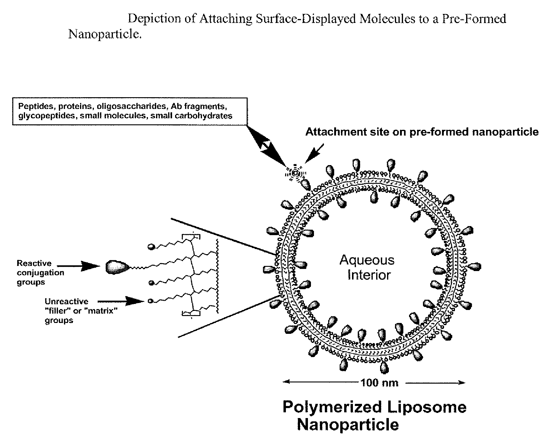 Nanoparticle adjuvants for sub-unit vaccines