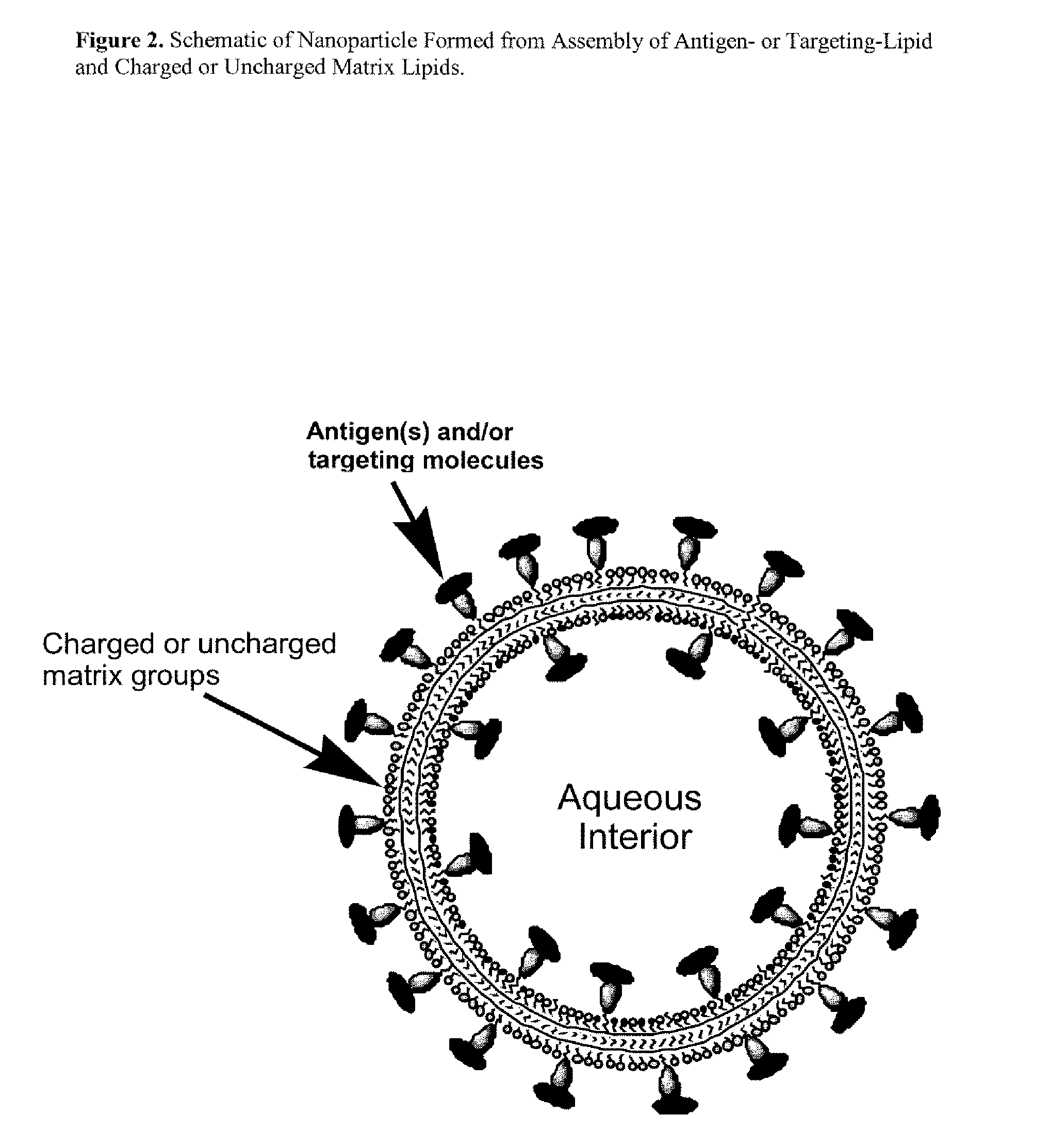 Nanoparticle adjuvants for sub-unit vaccines