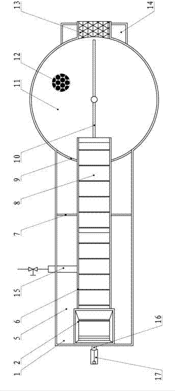 Mussel byssus removal method and device