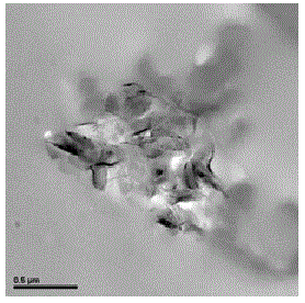 A kind of graphene/vinyl chloride in-situ polymerization method