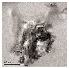 A kind of graphene/vinyl chloride in-situ polymerization method