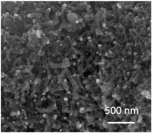 Experimental device and method for researching growth of carbon nanotube