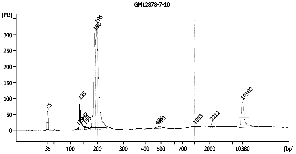 Tumor antigen expression examination primer and kit based on high-throughput sequencing method