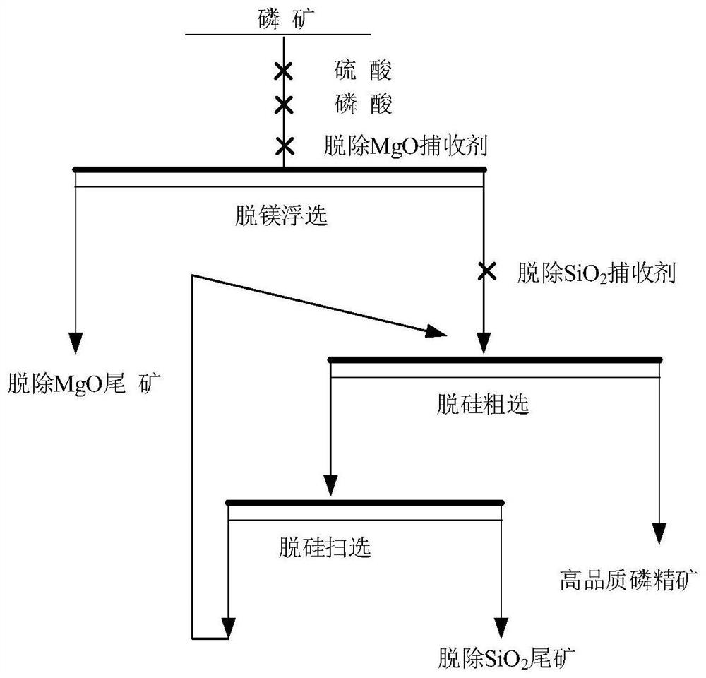 Collecting agent for collecting siliceous minerals and preparation method of collecting agent