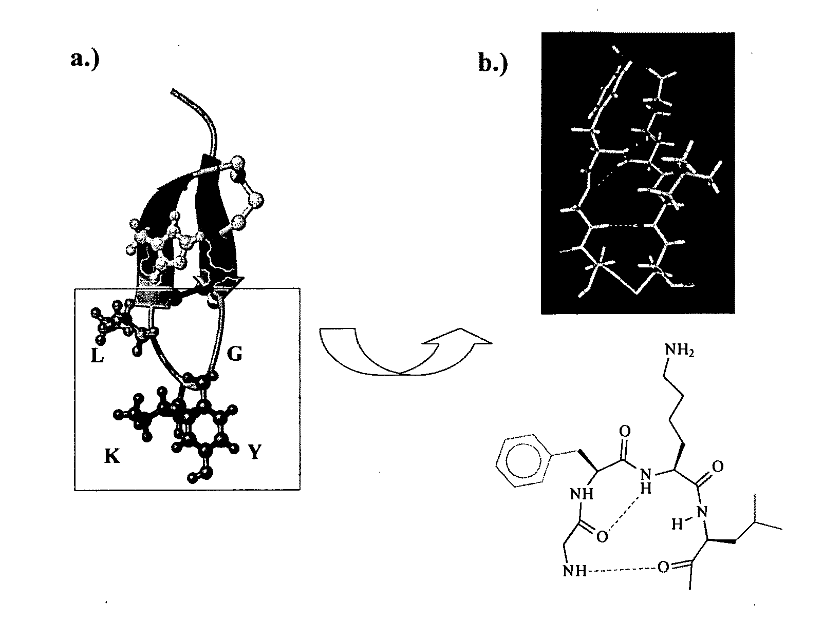 Libraries of peptide conjugates and methods for making them