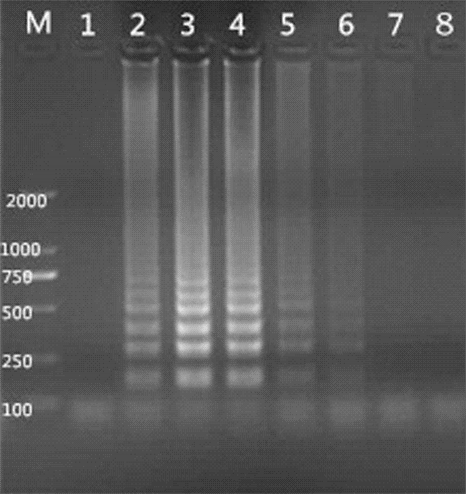 Method for detecting anaplasma phagocytophilum employing loop-mediated isothermal amplification (LAMP) technology