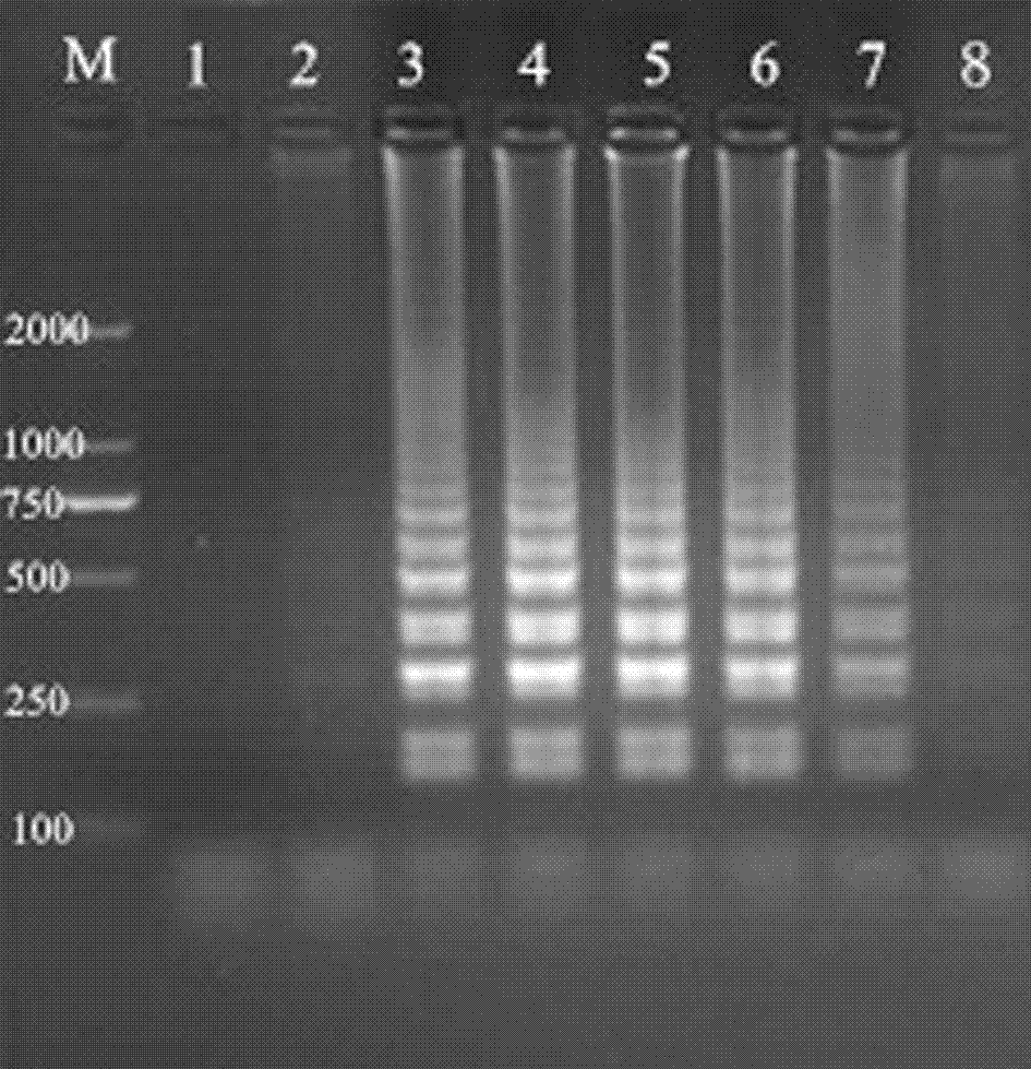 Method for detecting anaplasma phagocytophilum employing loop-mediated isothermal amplification (LAMP) technology