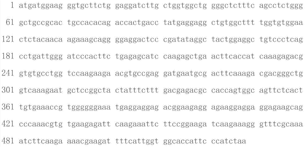 A broadspectrum efficient antimicrobial peptide Pb-CATH-OH1, a gene thereof, a preparing method of the peptide and applications of the peptide