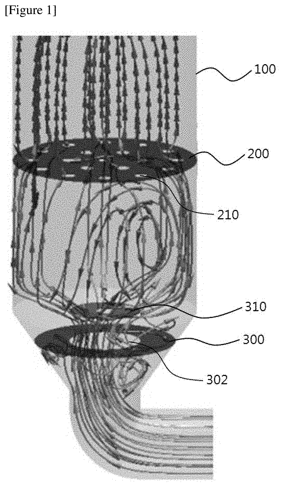 Dispersion Plate and Coating Device Including Same