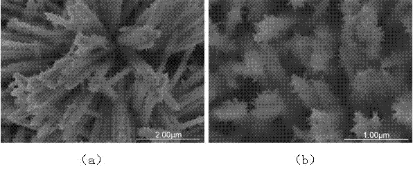 Electrochemical method for preparing hydroxyapatite dendritic micro nano composite coating on surface of metallic titanium