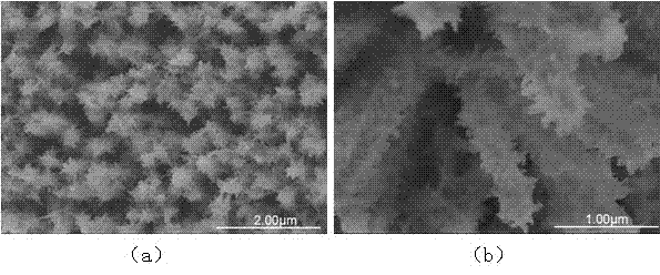 Electrochemical method for preparing hydroxyapatite dendritic micro nano composite coating on surface of metallic titanium