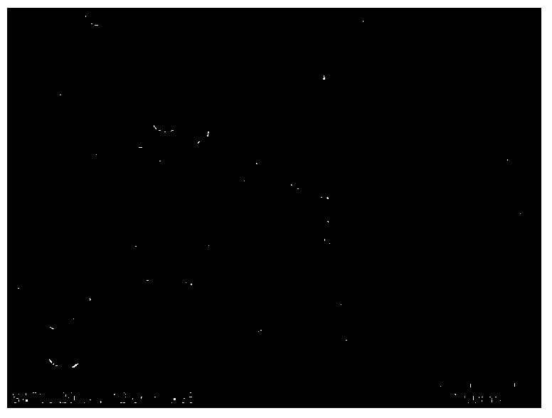 Nano composite foaming agent and preparation method and foamed product thereof