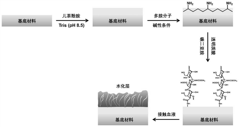 Material with biological anti-pollution function, and preparation method and application thereof