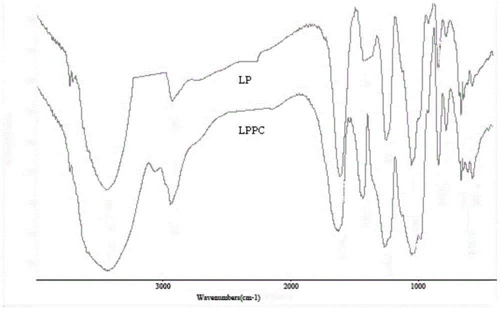 A kind of preparation method and application of low molecular altar laver polysaccharide-iron complex