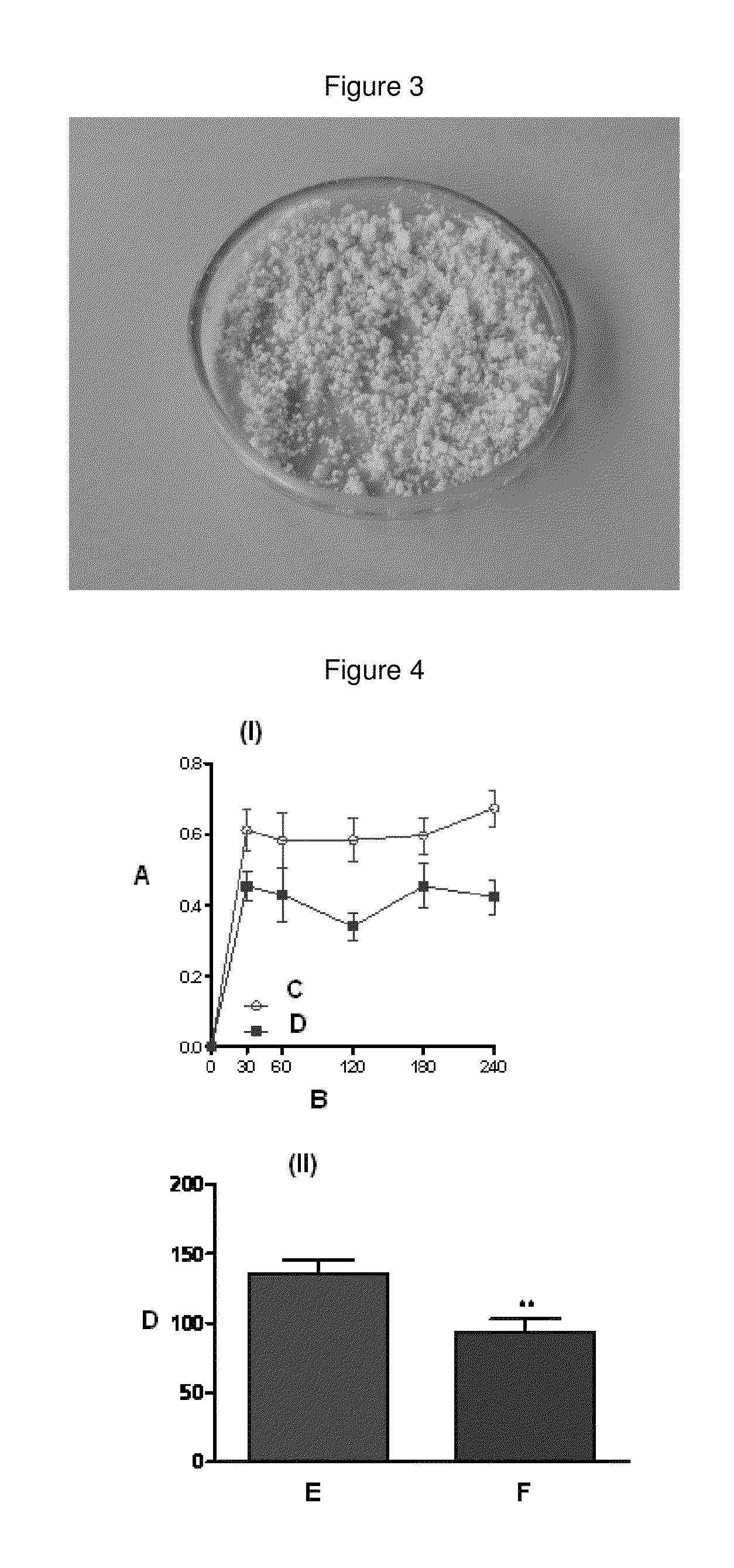 Composition containing resveratrol and/or derivatives thereof and plant oil, process for producing said composition, nutraceutical and/or pharmaceutical product, and method for enhancing the potential of resveratrol