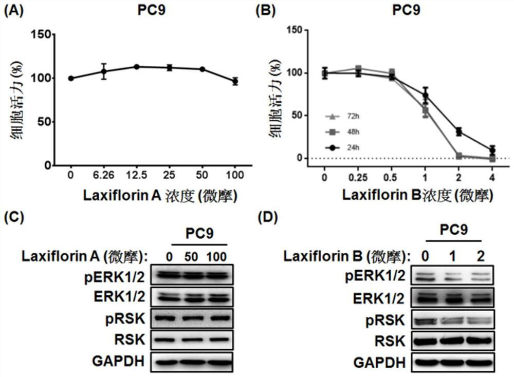 Extracellular regulatory protein kinase probe and its preparation method and application