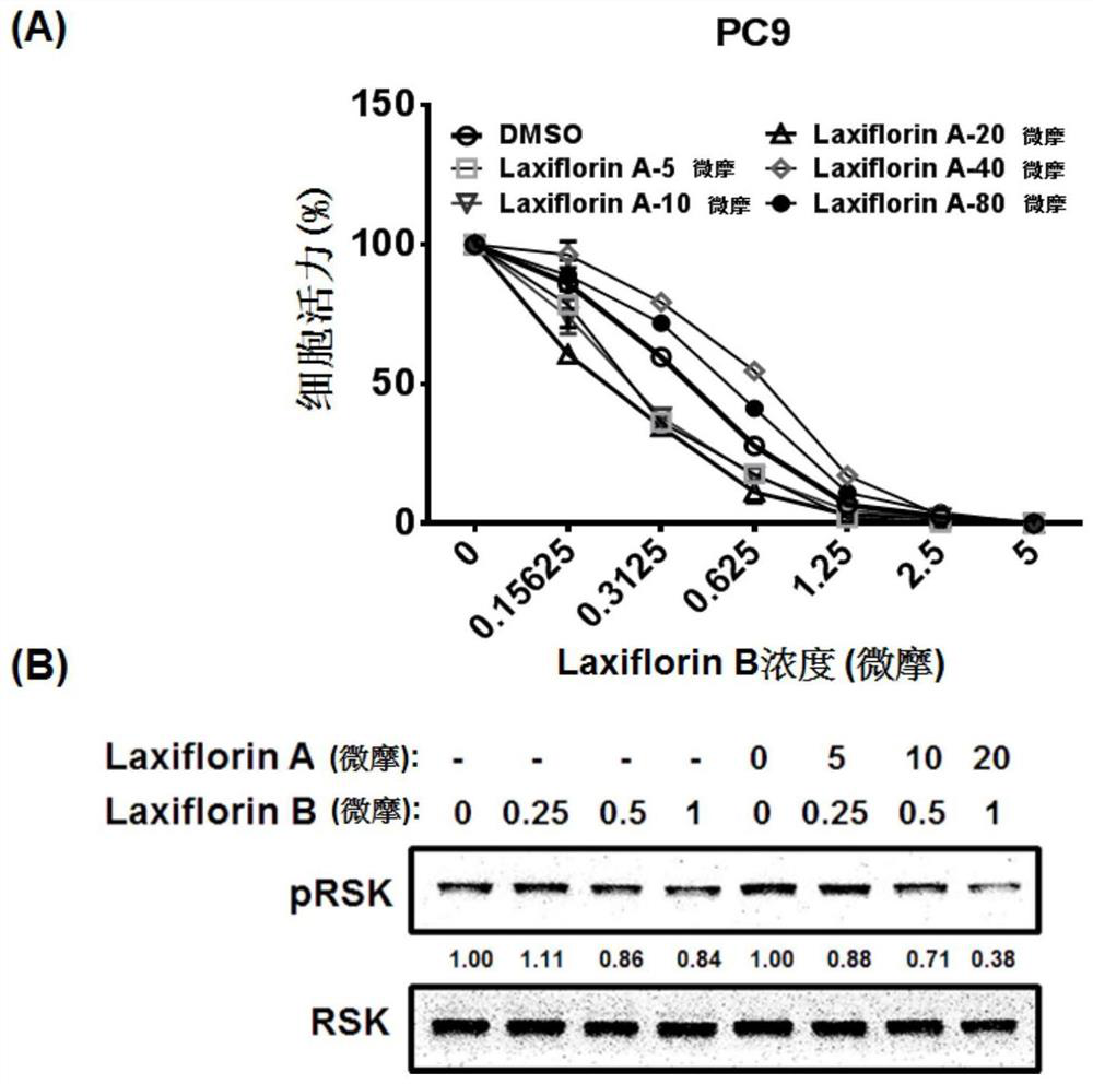 Extracellular regulatory protein kinase probe and its preparation method and application