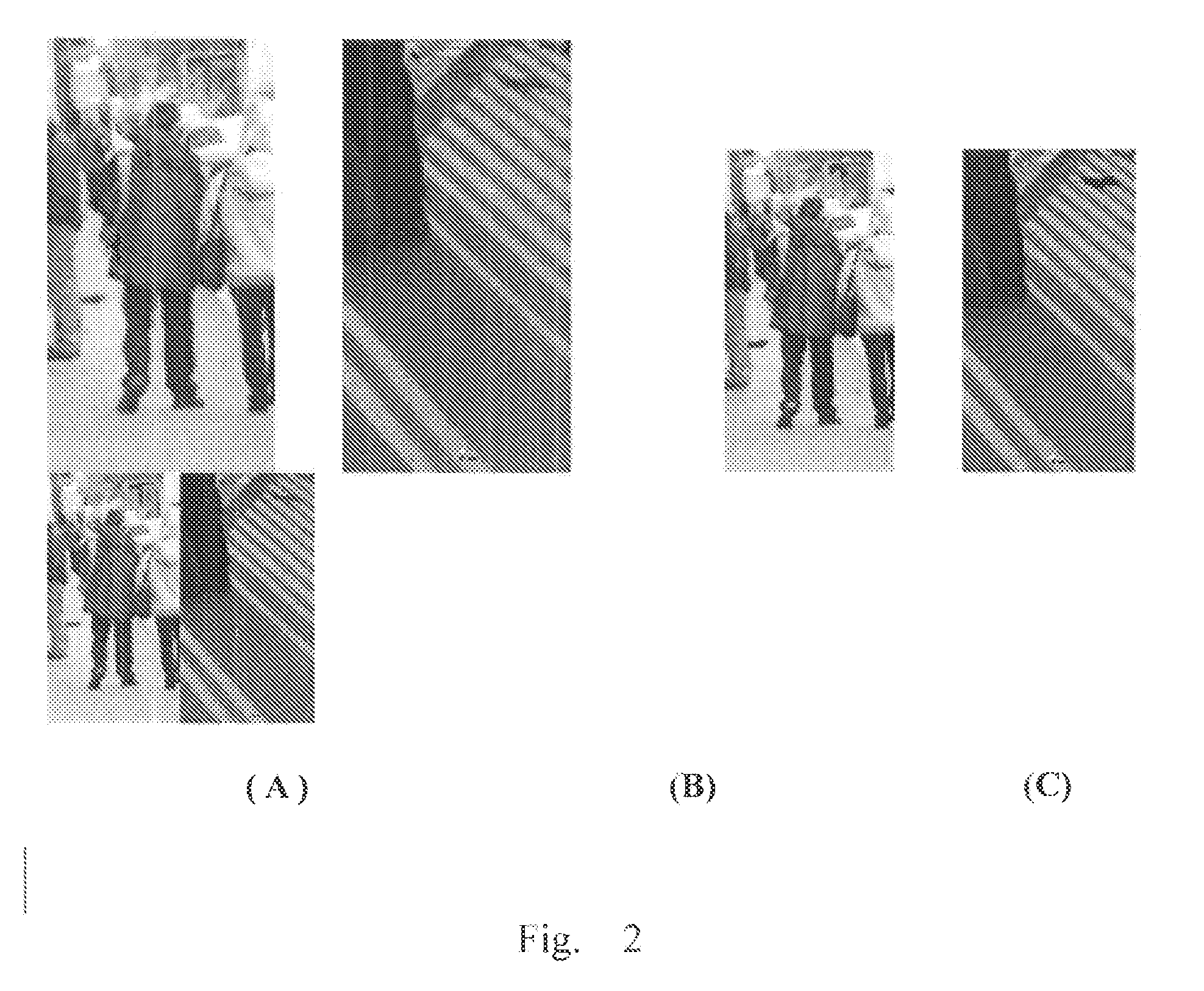 Method and device of detecting object in image and system including the device