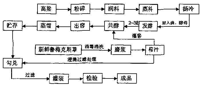 Process for brewing nutritive rumex wine