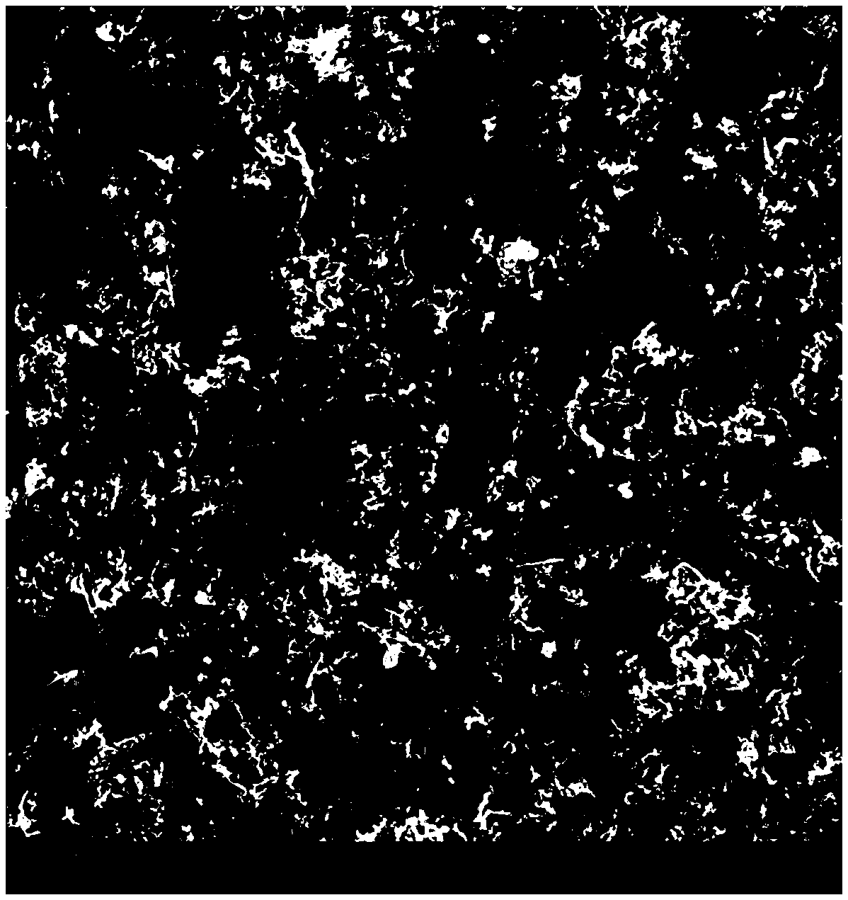 A kind of preparation method of n-doped carbon nanotube/cobalt-nickel oxide/n-doped porous carbon