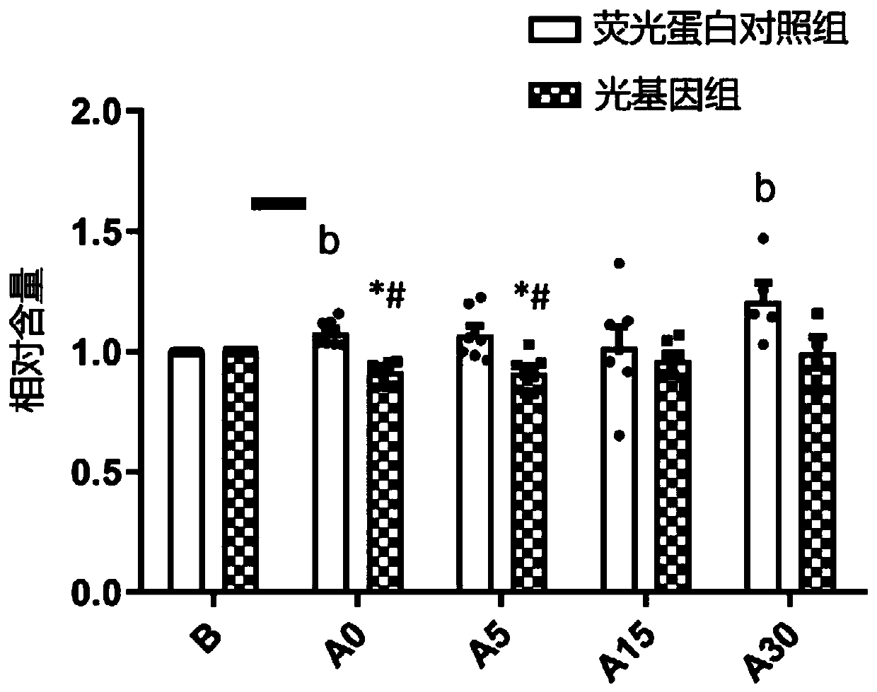 Rhythmic photostimulation pattern system and application thereof