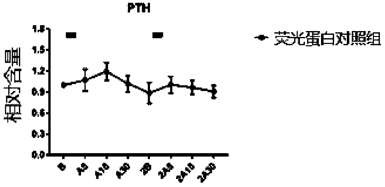 Rhythmic photostimulation pattern system and application thereof