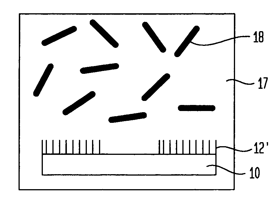 Selective placement of carbon nanotubes on oxide surfaces