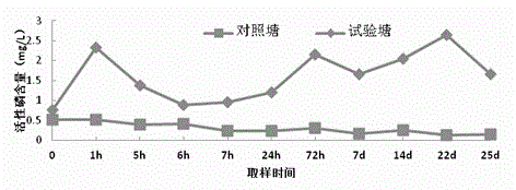 Efficiency-increasing breeding method for resourcefully treating bottom mud of intensive pond