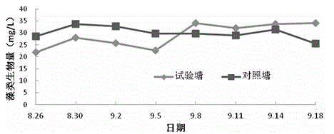 Efficiency-increasing breeding method for resourcefully treating bottom mud of intensive pond