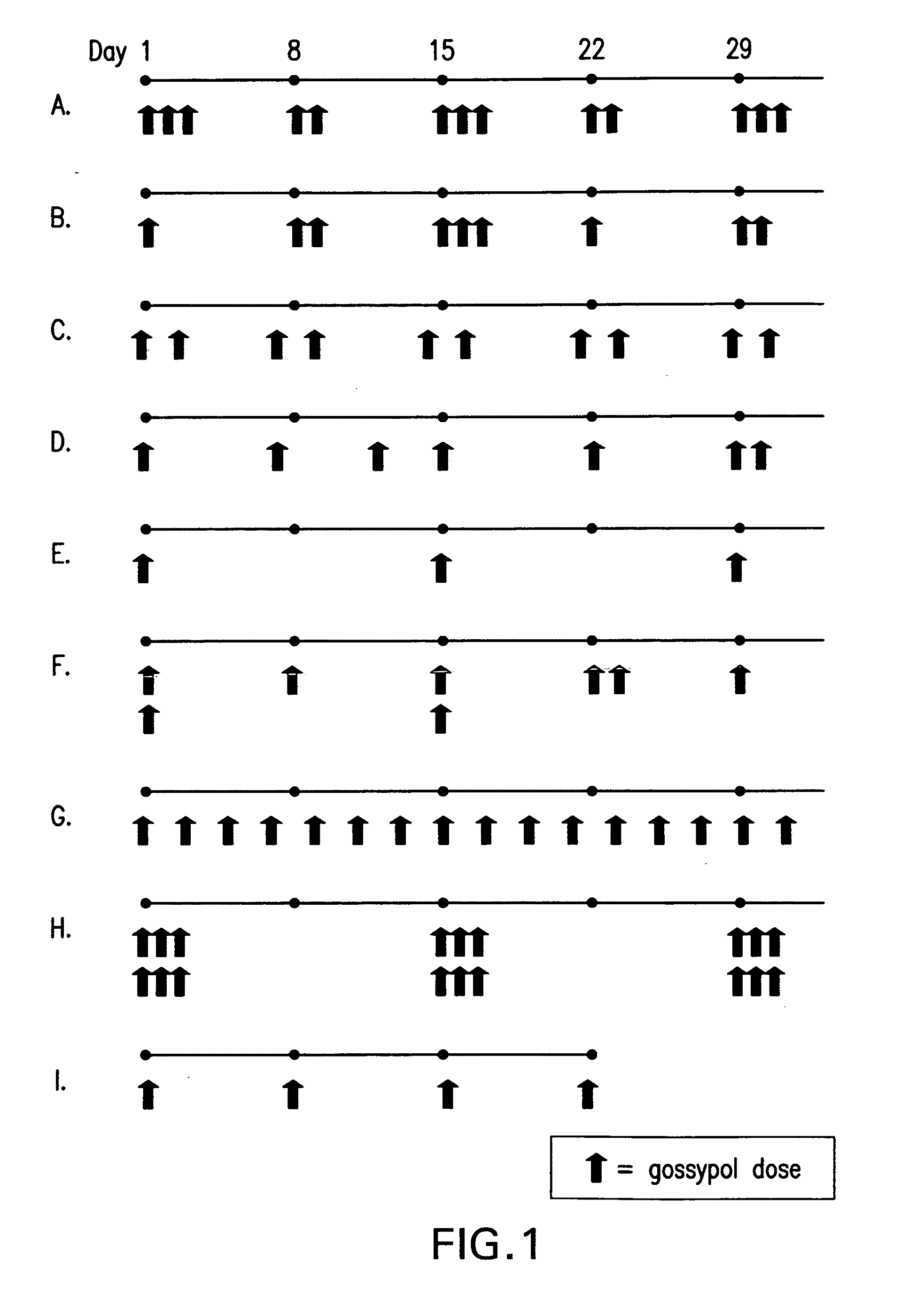 Pulsatile dosing of gossypol for treatment of disease