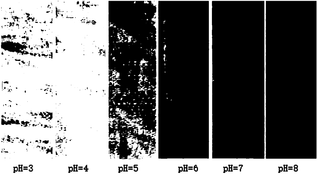 PH (potential of hydrogen) value photochromic antibacterial fabric and preparation method thereof