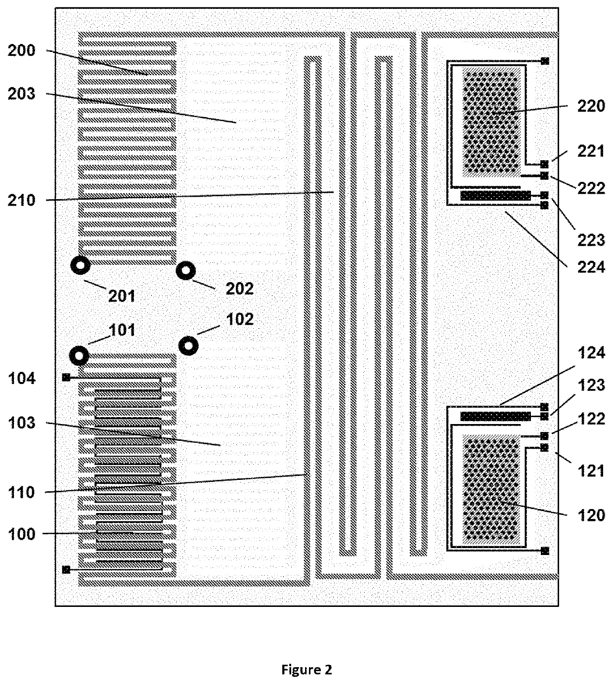 Method for liquid authentication by detection of flavonoid derivatives